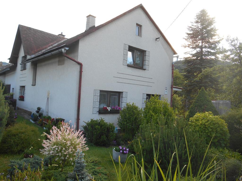 Ubytovani U Babicky Velke Losiny Exterior photo